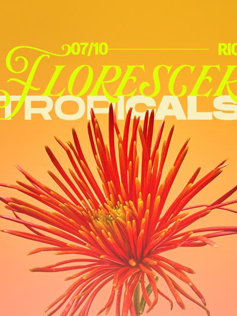 Florescer ~ Tropicals